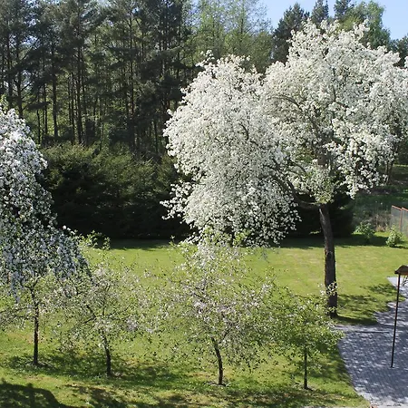 Paliepgiris 3* Palanga