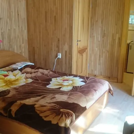 ゲストハウス Paliepgiris 3*