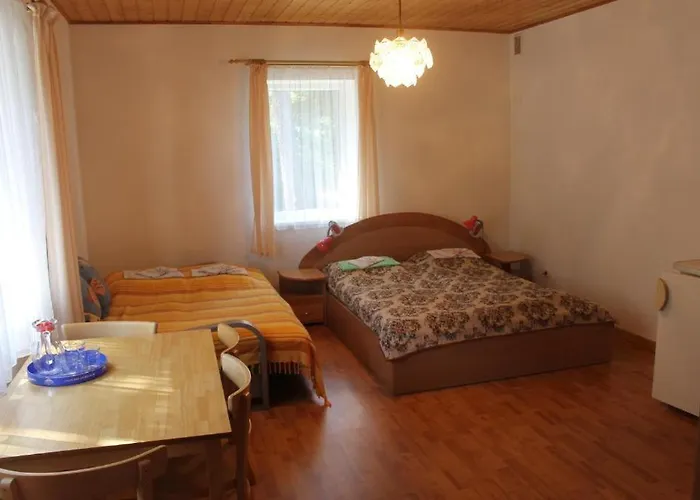 Paliepgiris Гостьовий будинок Паланга