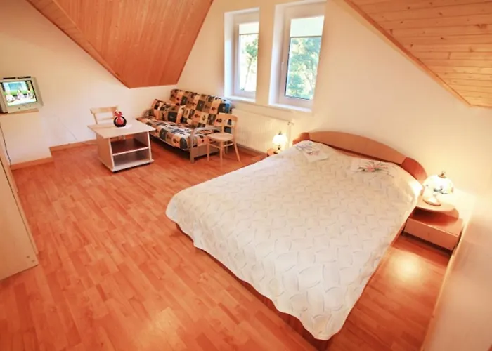 Гостьовий будинок Paliepgiris Паланга