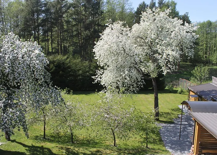 Paliepgiris 3* Паланга